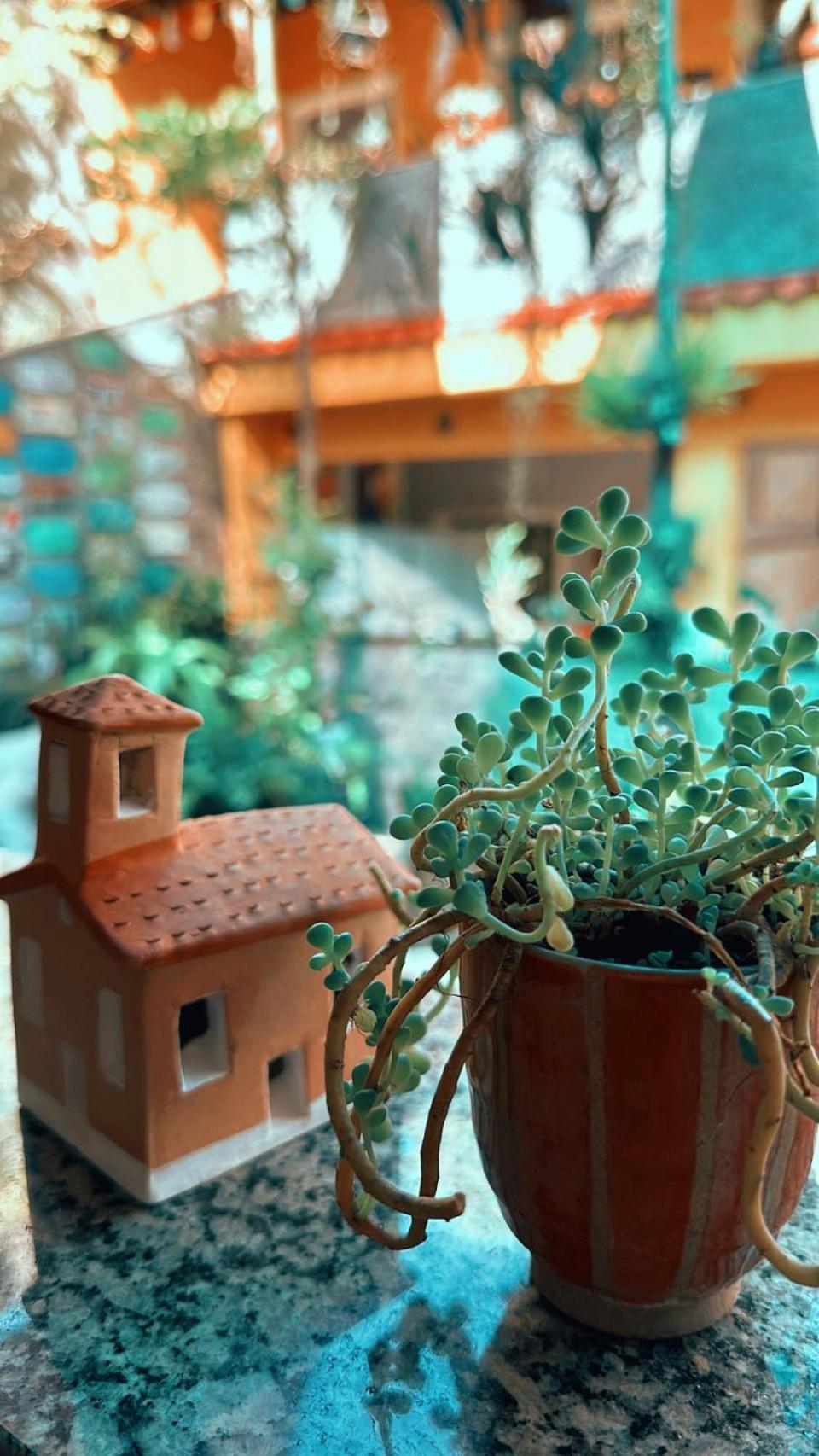 Village Potira - The Guest House Rio de Janeiro Bagian luar foto
